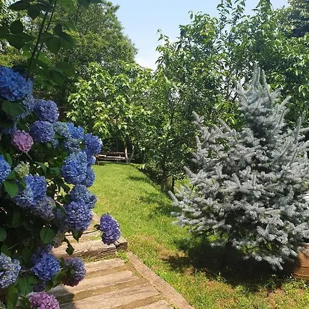 Menzara Konaklama בית נופש סקרייה